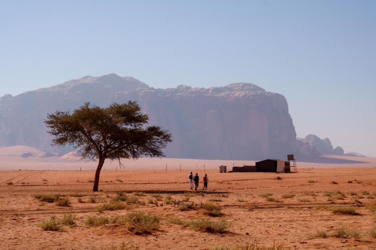 Wadi Rum Fig Tree Camp Bagian luar foto